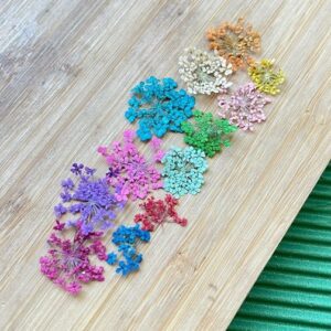 Flor Seca Estrela Para Decoração De Unhas 3d Encapsulada