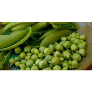 Sementes de Ervilha Torta de Flor Roxa Saladas Hortas