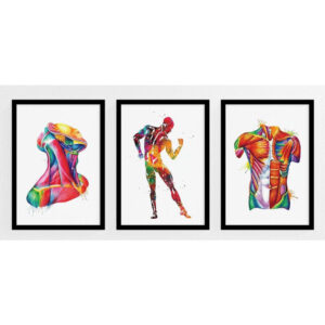 Quadros Decorativo Mosaico 90X50 3 peças Mdf Alta Resolução Full HD Músculos/Corpo Humano Multicolorido