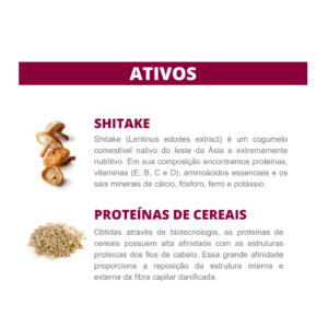 Shampoo Shitake Bio Extratus – 1L Reconstrução Nutritiva