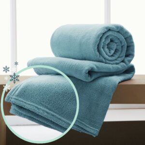 Manta Cobertor Microfibra Casal Inverno Macia Quentinha 1,80m x 2,00m anti Alérgica Lisa