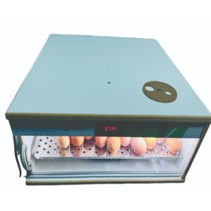 chocadeira 100 ovos Ovos Galinha Automática Digital eclo chocadeira