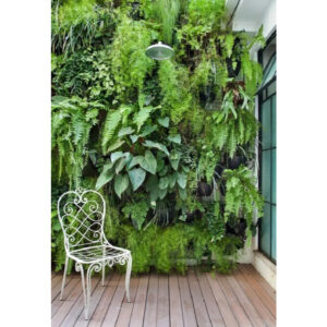 Kit de Nebulização para Plantas – Cuide do Seu Jardim com Amor! 50 Bicos