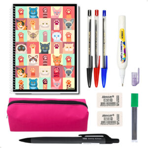 Material Escolar Universitário Feminino – Combo Faculdade Caderno de 10 materias Collection