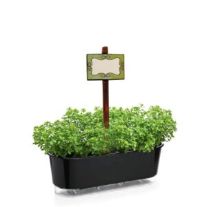 Kit com 12 Plaquinhas Rústicas Identificação de Plantas