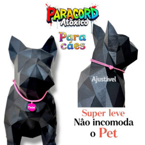 Coleira para cachorro e Gato ajustável com plaquinha de identificação Personalizada