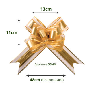 LAÇO FACIL METALIZADO COM BORDAS ORGANZA 30X470MM PCT C/05