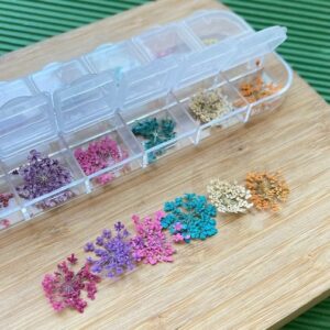 FLOR SECA ESTRELA PARA DECORAÇÃO DE UNHAS 3D ENCAPSULADA