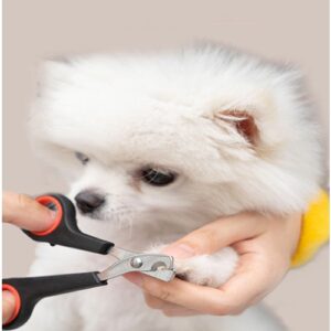 KIT 10 TESOURA DE UNHAS INOX PARA CACHORROS / GATOS/ COELHO/PETS