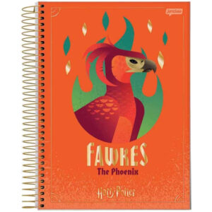 Caderno Harry Potter Hogwarts universitário 10 Matérias 200 Folhas Jandaia