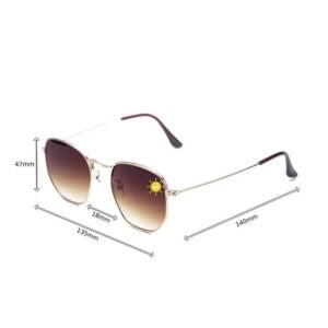 Kit 1 Óculos De Sol Hexagonal Dourado Lente Marrom + Kit case Com Flanela