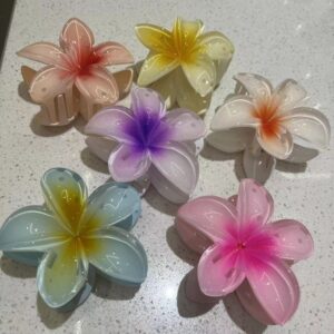 KIT Presilha Piranha Flor De Cabelo em Acrilico Prendedor Blogueira Verão Aestheric Grampo Summer Praiana