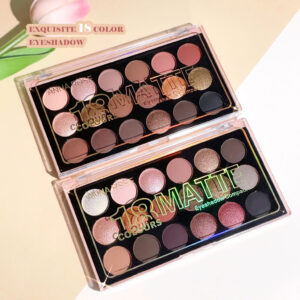 Paleta de Sombra Perolada Mate Fina Brilhante Terra Color Series Não Fácil de Tirar Maquiagem High-V