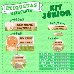 Kit etiquetas Escolares Junior – Vinil 100% a prova dágua – temas variados – 289 unidades