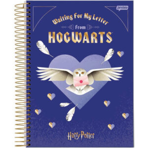 Caderno Harry Potter Hogwarts universitário 10 Matérias 200 Folhas Jandaia