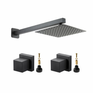 Chuveiro Gás Solar Piscina 20×20 Inox Preto + 2 Acabamentos Para Registro Docol