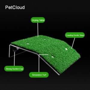 Plataforma De Tartaruga Flutuante