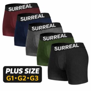 Kit Com 10 ou 5 Plus Size cuecas Masculino Microfibra Extra Grande