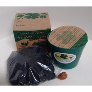 Mini Kit Vamos Plantar semente de Trevo de 4 folhas