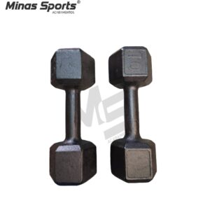 Par Halter Sextavado Pintado 10 Kg Treino Musculação C/ 2 Un