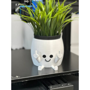 Vaso Suculentas Dedo do Meio