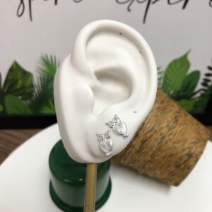 Brinco Coruja Pequena Prata 925