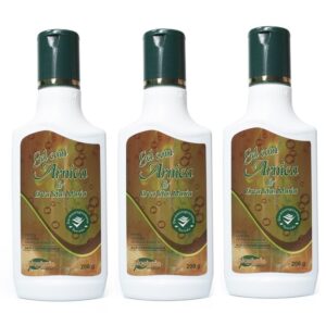 Gel Com Arnica E Erva Santa Maria -200g (3 und) Alquimia Cosméticos