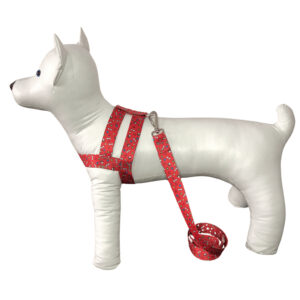 Conjunto Peitoral Com Guia De Seda Para Cachorro Cão Porte Pequeno – Conforto E Estilo Para Seu Pet