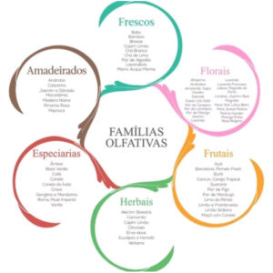 Difusor de Varetas Via Aroma 200ml – Fragrâncias Linha Classica- Cheirinho para Casa Escritório