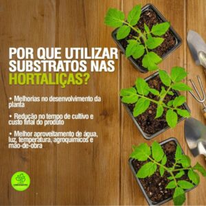 Substrato Carolina Soil Padrão 75H Fracionado 3kg 15 litros Hortas Rosas do Deserto Suculentas Morango Turfa Vermiculita