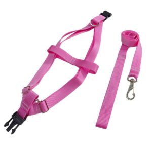 Conjunto Peitoral com Guia para Cachorro Pequeno Ajustável e Confortável