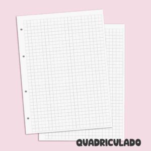 Fichário Personalizado Caderno Argolado Reposicionável Colegial 80 folhas Miolo 90g (paut/quad/pont)