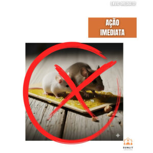 Cola Adesiva Para Pegar Ratos – Praticidade E Eficácia No Controle De Roedores Fácil de Usar . Achei