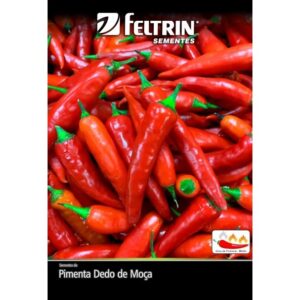 Semente Pimenta Dedo de Moça
