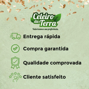 Ameixa sem Caroço –  Granel