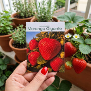 Sementes De Morango Gigante – 200 Semente Alta Germinação