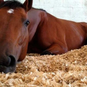 Serragem Prensada Majestic 800g Maravalha Hamster Roedores Coelhos