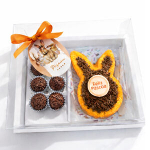 KIT 5~20 Caixas Bolo 6 Doces Gourmet para Forma Ballerine Coelho 1016 Caparroz Acetato