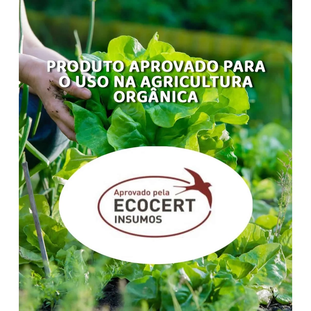 Azufre Enxofre Pct 1 Kg Via Foliar Frutas Citrus hortaliças