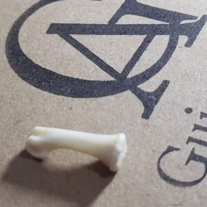 OSSOS PARA GUIA ENTREMEIO FURADOS OSSOS DE FRANGA OSSOS DE VERDADE