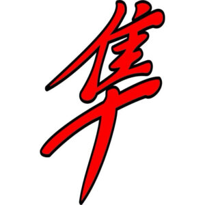 Adesivo Hayabusa Paralama de moto