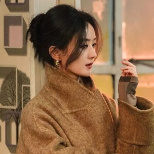 Europeu americano Retro leopardo impressão em forma de U brincos High-End nicho único brincos dourados