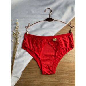 Kit C/5 Calcinha Tanga Reforçada em Microfibra Luxo direto da Fábrica