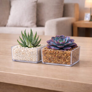 Kit 2 Mini Vasinhos para Decoração para Plantas e Suculentas Transparente Acrílico