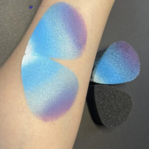 WT 10 Pcs Esponjas De Pintura Facial Pétala Esponja Espuma Conjunto De Artesanato Corporal [BR]