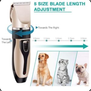 Maquina Maquininha Tosa Pet Cachorro Gato Kit Profissional Cor Dourado