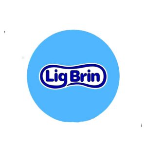 Varal Multiuso Plástico Roupa Intima 24 Prendedores Cores Sortidas