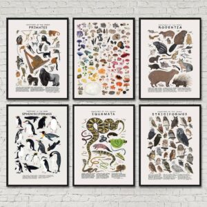 Quadro Retro Com Estampa De Animais De Ciências Educação Da Classificação Pintura De Lona Imagem Para Sala De Estar