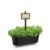 Kit com 12 Plaquinhas Rústicas Identificação de Plantas