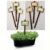Kit com 12 Plaquinhas Rústicas Identificação de Plantas